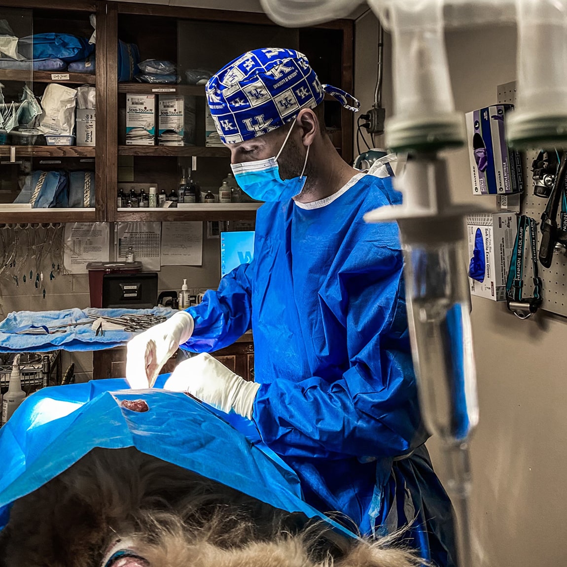 Professional-Background-Interests